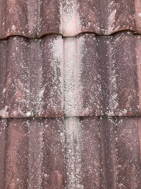 経年劣化が目立つモニエル瓦